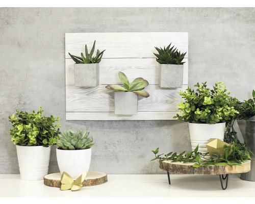 Decoratieve kamerplanten in potten en wandhouder op een tafel.