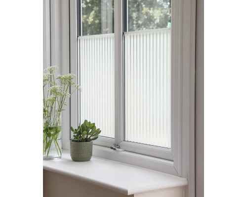 Raam met plisségordijnen, potplant en bloemenvaas op de vensterbank