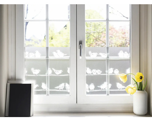 Decoratieve folie met vogelmotieven op een raam
