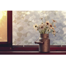 Decoratieve folie met plantenpatroon op raam naast bloemen in metalen kan