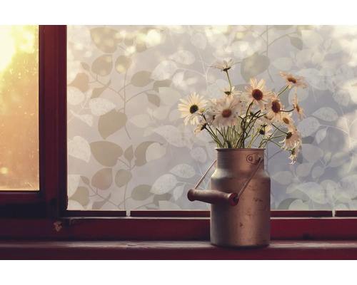 Decoratieve folie met plantenpatroon op raam naast bloemen in metalen kan