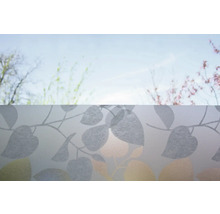 Raamfolie met bladmotief voor privacy en decoratie