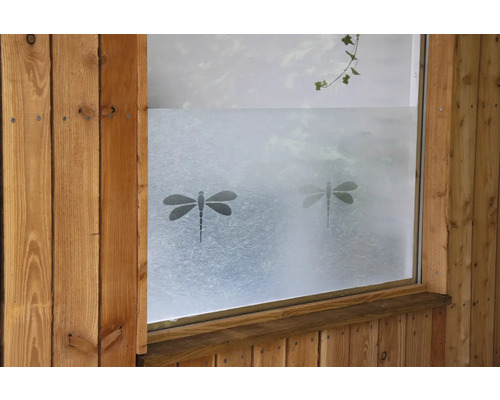 Raam met melkglasfolie en libellenmotieven