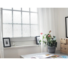 Scene met raamfolie met bladmotief, anthurium en bureau.