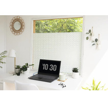 Lichte werkplek met bureau, laptop, planten en raamfolie voor meer privacy.