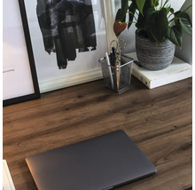 Detailaanzicht van een bureau met een laptop, kantoorbenodigdheden, kamerplant en ingelijste afbeeldingen.