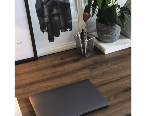 Detailaanzicht van een bureau met een laptop, kantoorbenodigdheden, kamerplant en ingelijste afbeeldingen.
