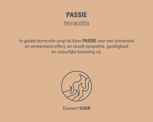 Passie terracotta kleur en vuurelement symbool