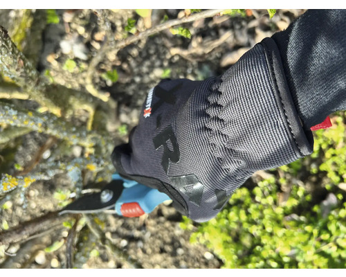 Een persoon snoeit een tak met een snoeischaar terwijl hij tuinhandschoenen draagt.