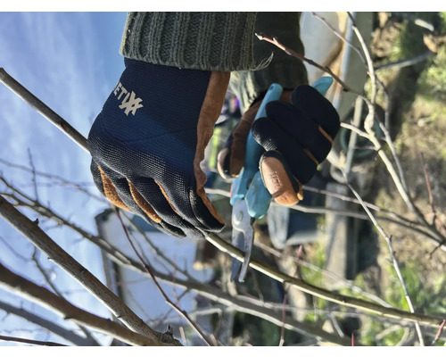 Tuinschaar knipt takken met tuinhandschoenen