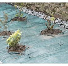 Tuin met onkruiddoek en recent geplante planten