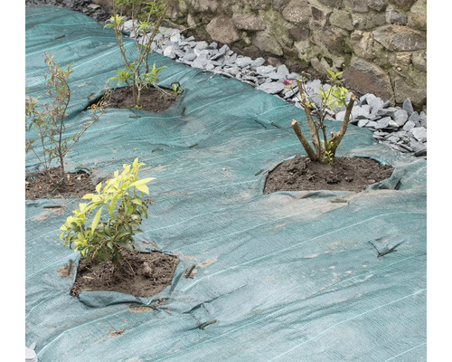 Tuin met onkruiddoek en recent geplante planten