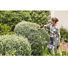 Vrouw snoeit struiken met een struikenschaar in de tuin.