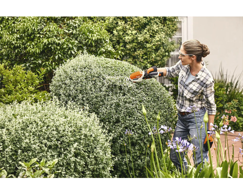 Vrouw snoeit struiken met een struikenschaar in de tuin.