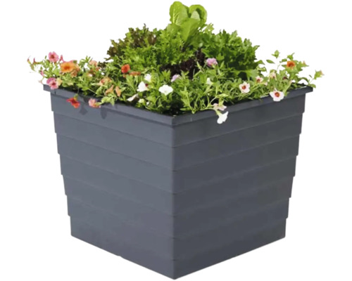 Vierkante plantenbak beplant met bloemen en sla