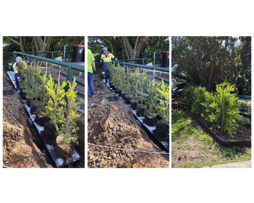 Aanplant van potplanten in een tuinbed door tuinmannen.