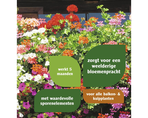 Bloemenpracht met informatie over sporenelementen, gebruiksduur en plantensoorten