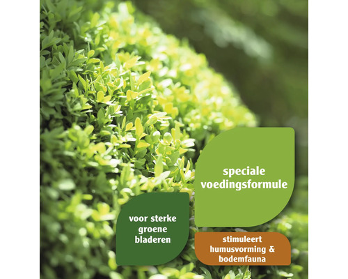 Plantenvoeding voor sterke groene bladeren en een speciale voedingsformule ter bevordering van humusvorming