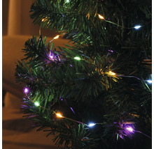 Lichtsnoer met veelkleurige lampjes op een kerstboom