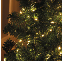 Kerstboom versierd met lichtjes en dennenappels