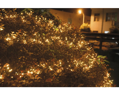 Decoratieve struik met lichtsnoer buitenshuis