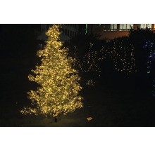 Verlichte kerstboom buiten