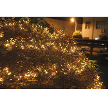 Decoratieve struik met warmwitte lichtketens