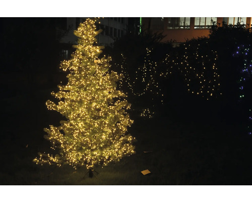 Verlichte kerstboom buiten