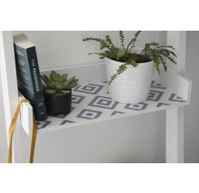 Decoratieve plank met boek, vetplant en varen in potten