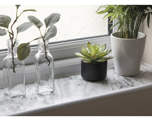 Decoratieve kamerplanten op een vensterbank