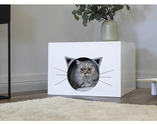 Kat in een kattenhuis met een katachtig gezichtsontwerp