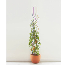 FLORASELF Plantenstok Geel Ø 9 mm H 180 cm