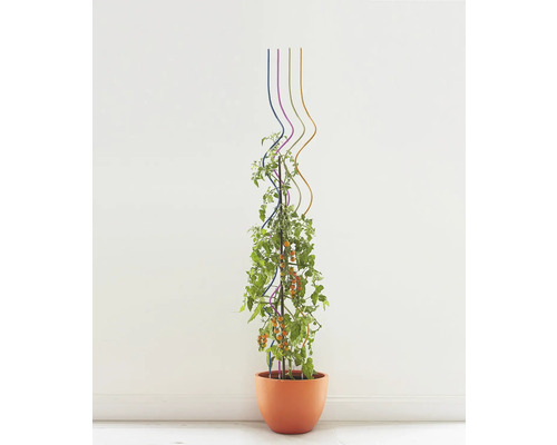 Tomatenplant met plantensteun in een plantenbak.