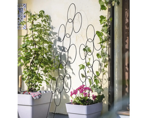 Decoratieve metalen plantensteun met cirkelvormig patroon, geplaatst naast beplante bloempotten.