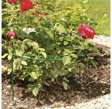 FLORASELF Plantensteun 40x100 cm
