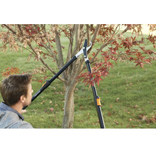 Man snoeit boom met een telescopische takkenschaar.
