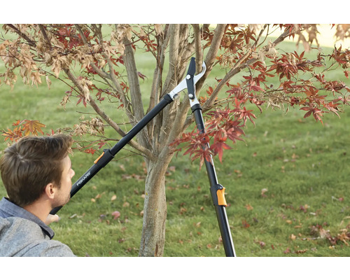 Man snoeit boom met een telescopische takkenschaar.