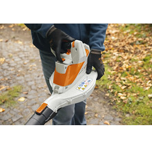 Bladblazer in de hand van een persoon