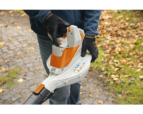 Bladblazer in de hand van een persoon