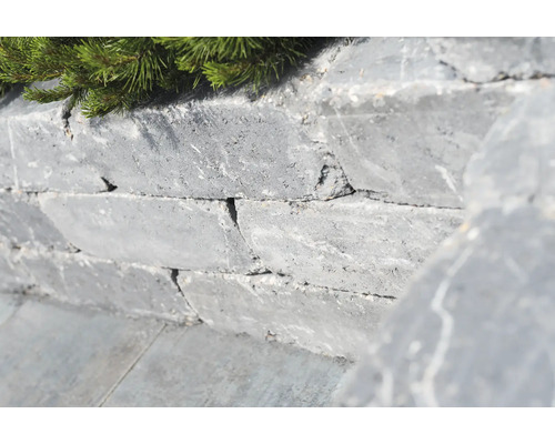 Muur van natuursteen met groene beplanting