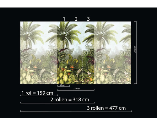 Tropisch fotobehang met palmen en planten, maataanduidingen voor één, twee of drie rollen.