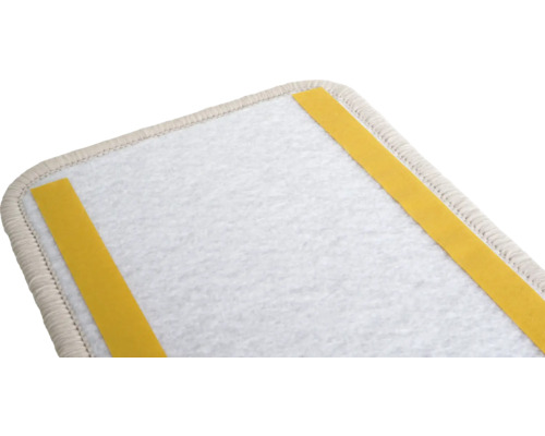 Trapmat met plakstrips