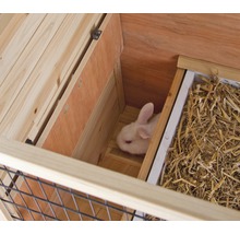 Binnenaanzicht van een klein dierenverblijf met een konijn en hooi