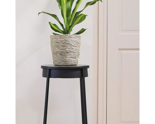 Kamerplant in gevlochten pot op een bijzettafel