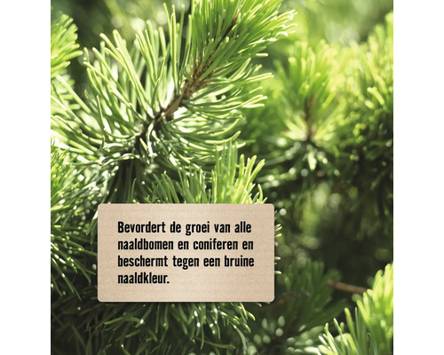 Close-up van naaldbomen takken met een bord dat de groei bevordert