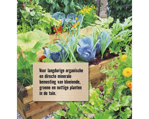 Verhoogde tuinbed met bloeiende, groene planten en groenten voor langdurige organische en minerale bemesting