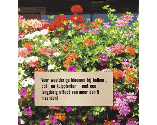 Bloemenmengsel voor balkon- en kuipplanten