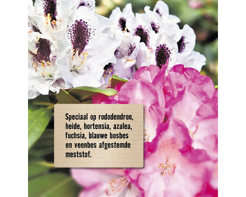 Meststof speciaal voor rododendron, heide, hortensia, azalea, fuchsia, blauwe bosbes en veenbes