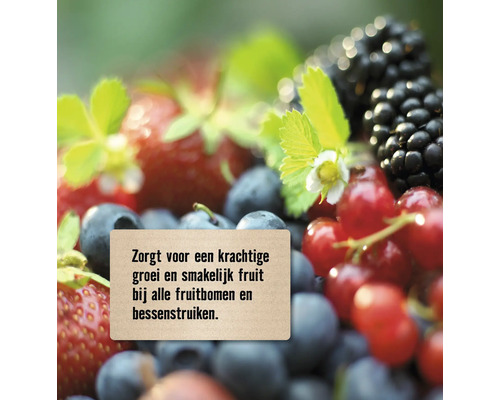 Close-up van verschillende soorten bessen met tekst over sterke groei en smakelijk fruit bij alle fruitbomen en bessenstruiken.
