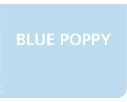 Verfstaal blauwe klaproos